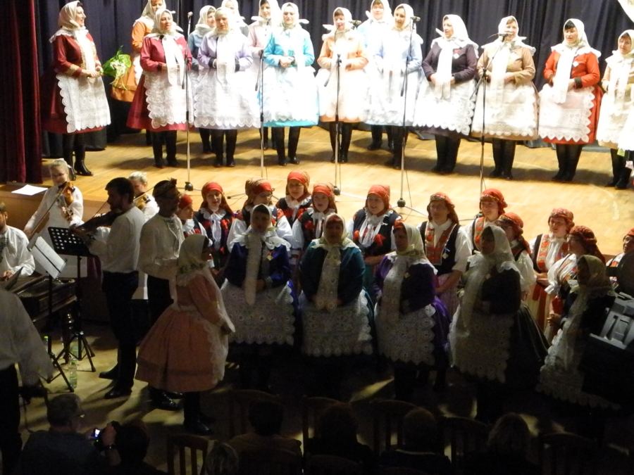 DSCN3319 (1)