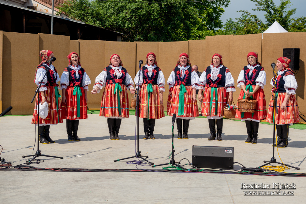 355615dsc_7531