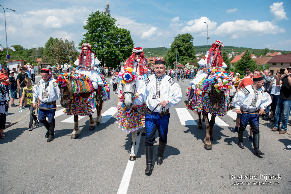 251dsc_4226_jk