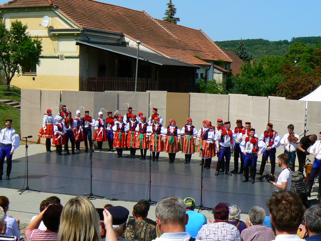 P1100937a