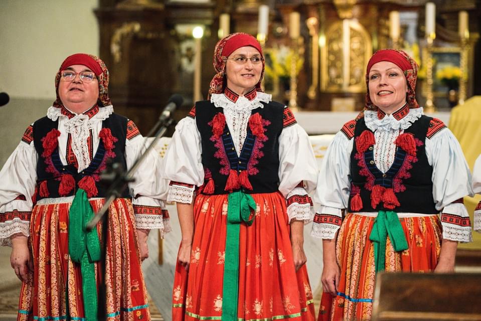 Cvikov 6