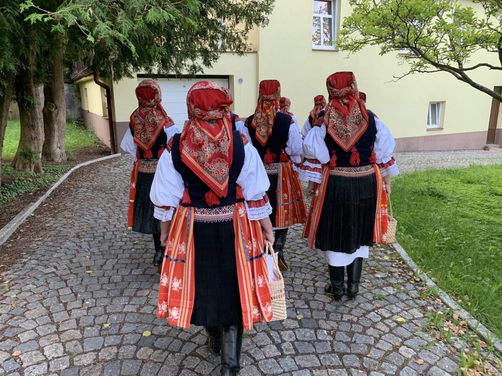 Cvikov5