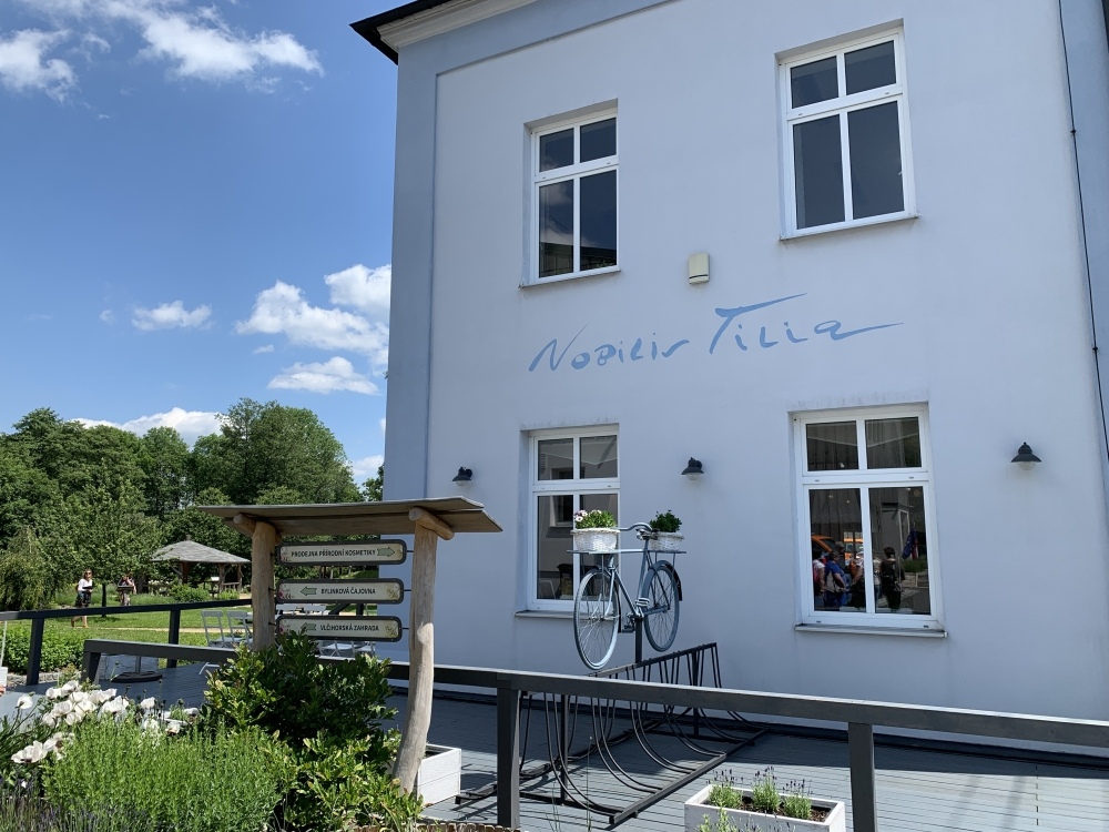 Nobilis Tilia4