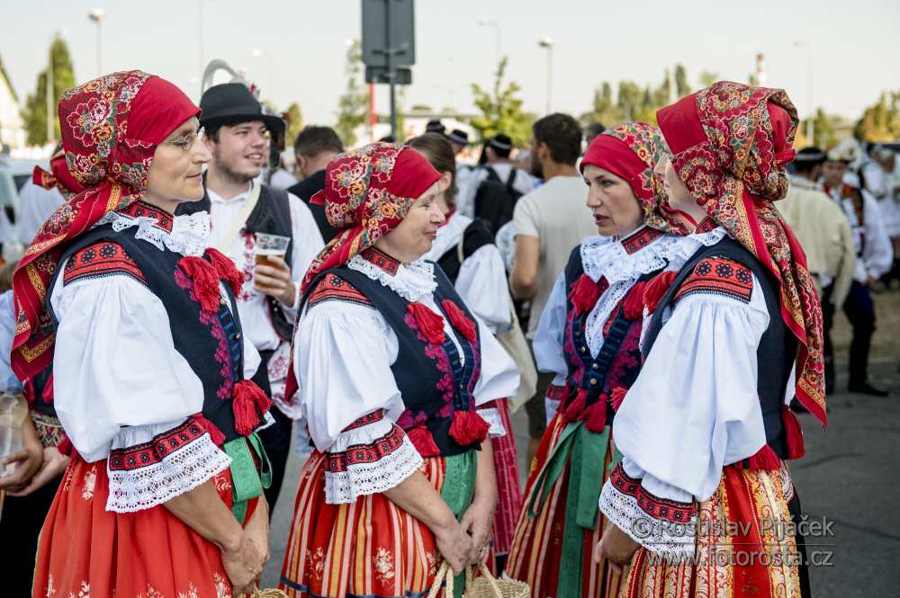 117slavnosti-vina