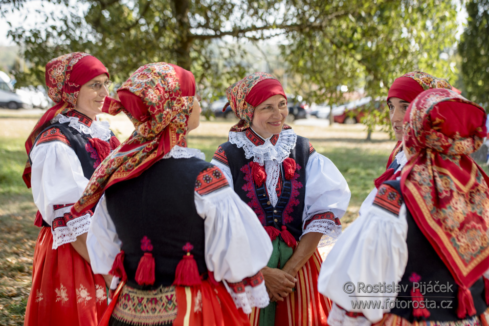 121slavnosti-vina