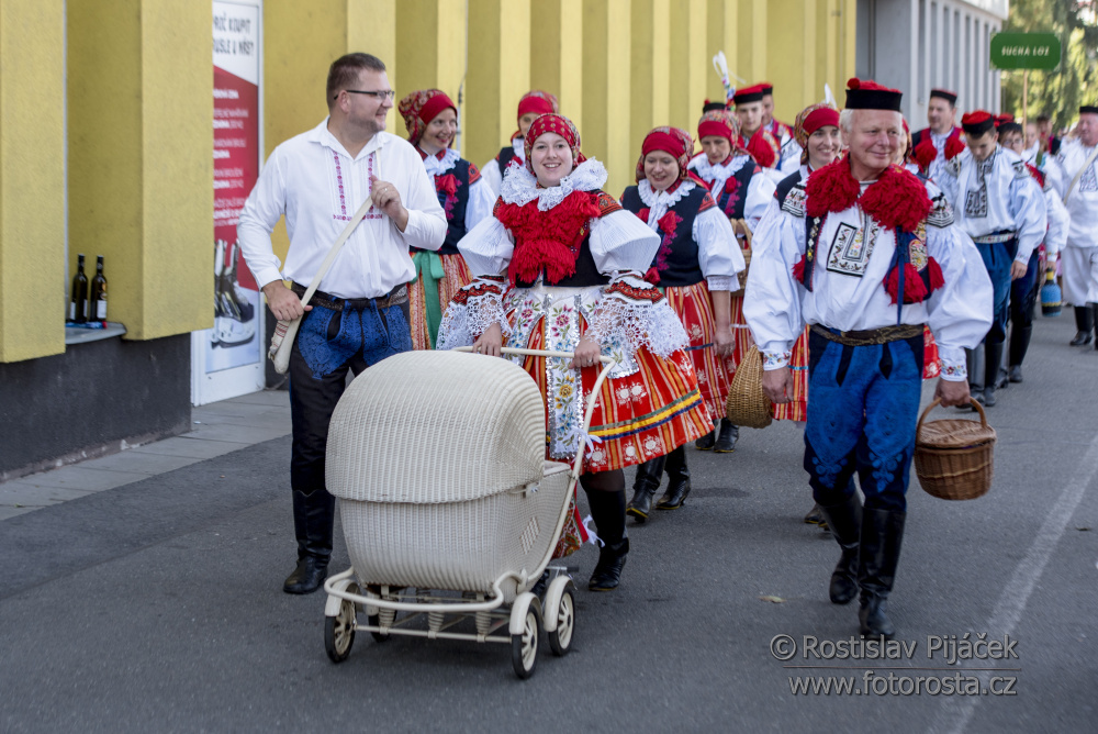 125slavnosti-vina