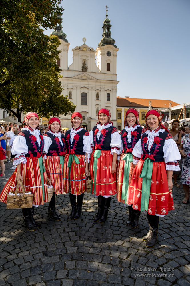 155slavnosti-vina