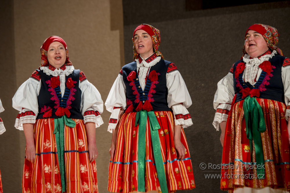 118Predani-vlady