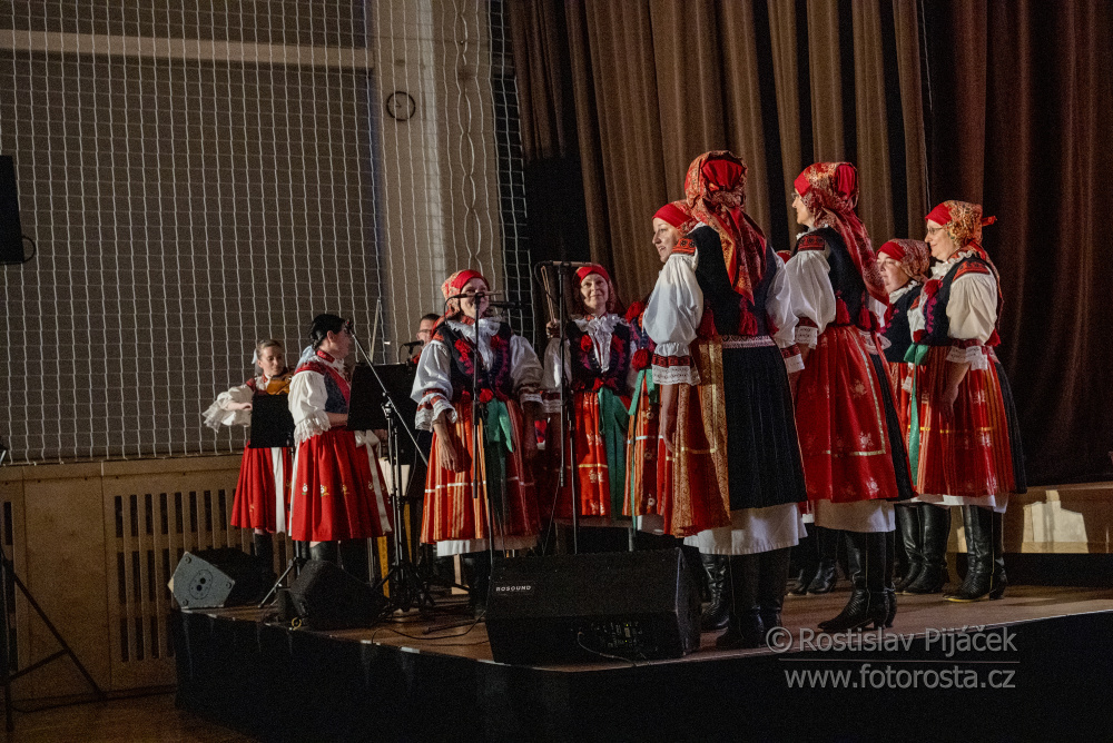 155Predani-vlady (1)