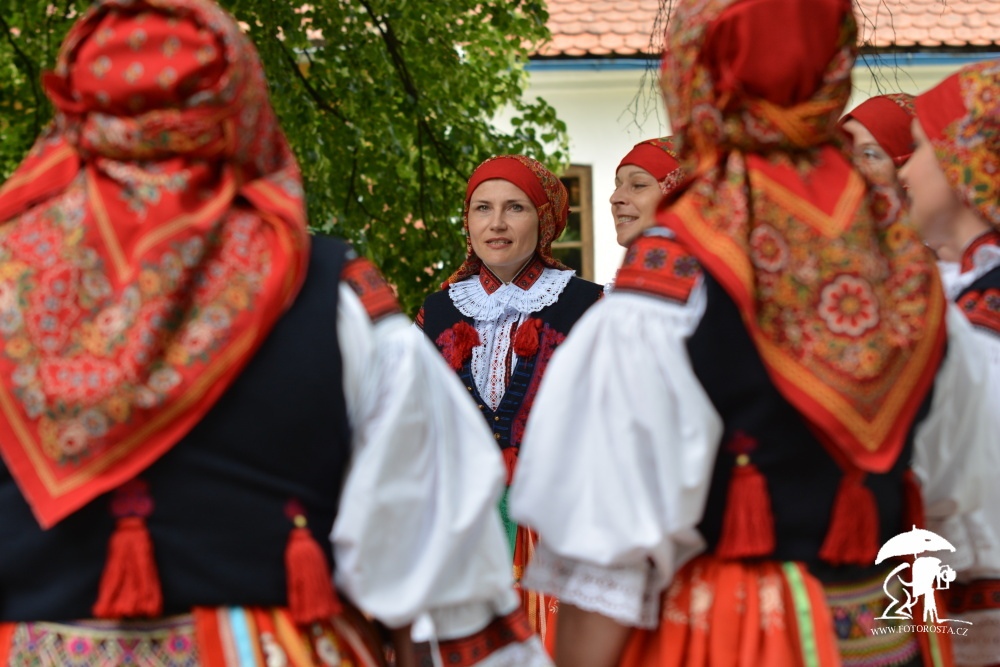 dsc_0266 (1)
