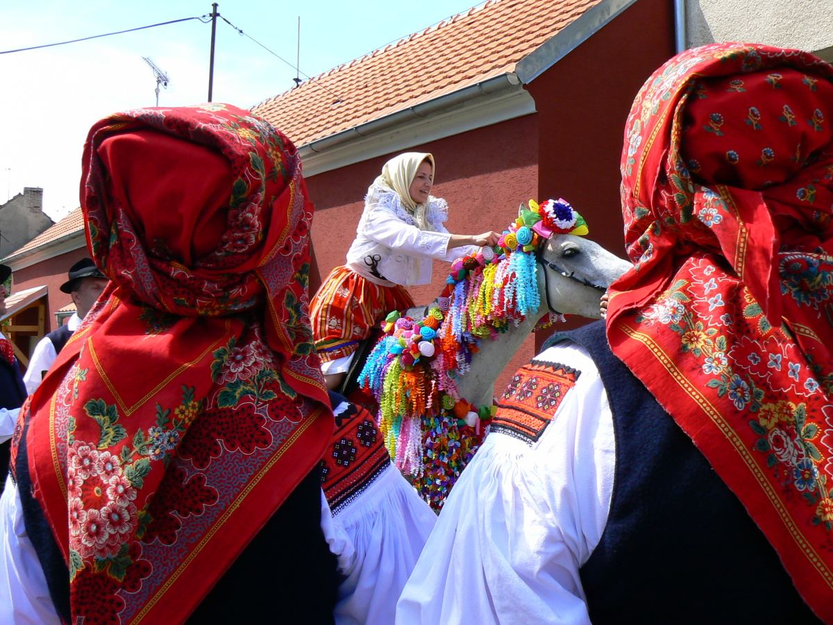 P1060748 (1)