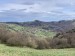 IMG_3180 (2)